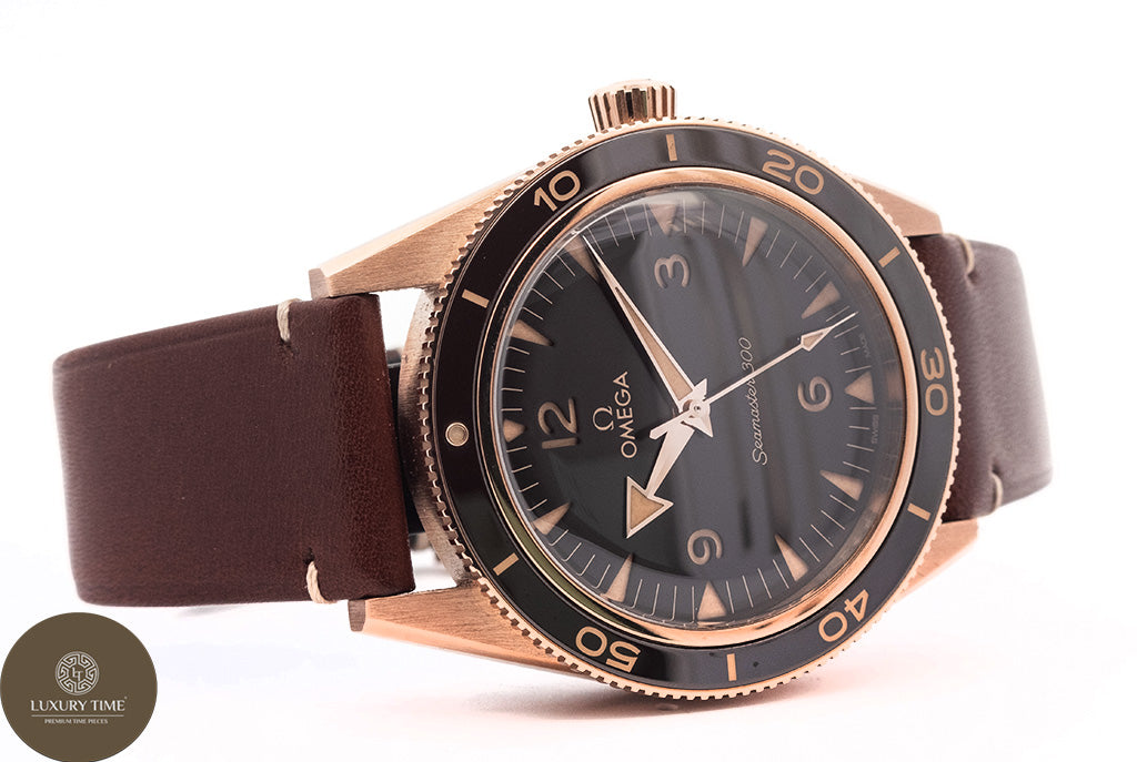 Omega Seamaster 300 Co-Axial Master Chronometer 41mm Men's Watch
