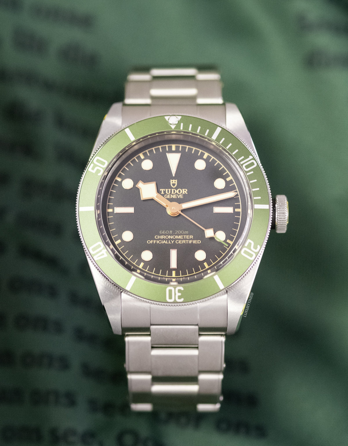 Tudor Black Bay Harrods Edition Men's Watch