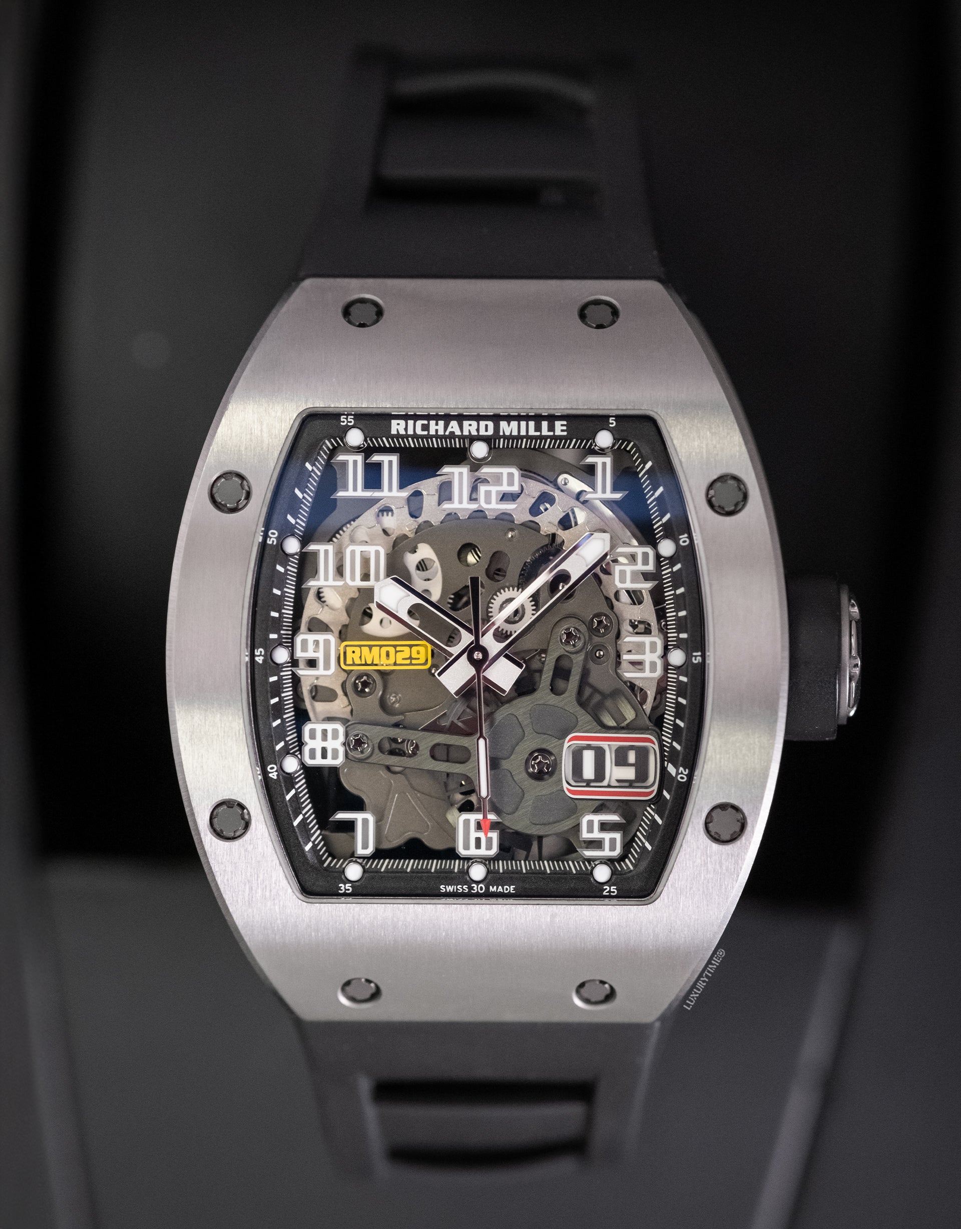 Richard Mille RM029 Titanium Men's Watch