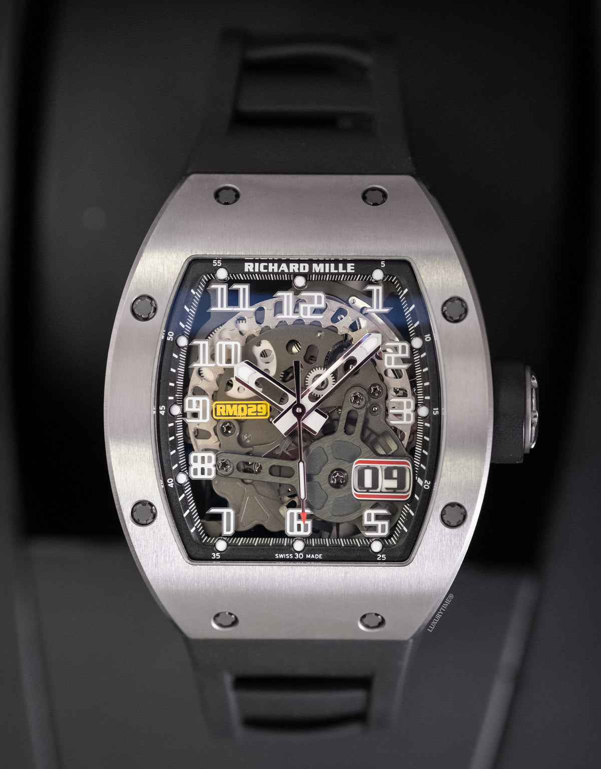 Richard Mille RM029 Titanium Men's Watch