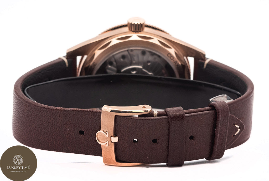 Omega Seamaster 300 Co-Axial Master Chronometer 41mm Men's Watch